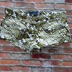 Roberto Cavalli Hipster Short Shorts Size 6